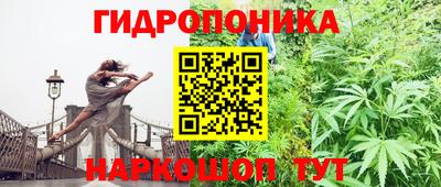 spice Азнакаево
