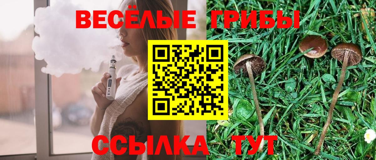 Галлюциногенные грибы прущие грибы  Вход с VPN  Алушта 